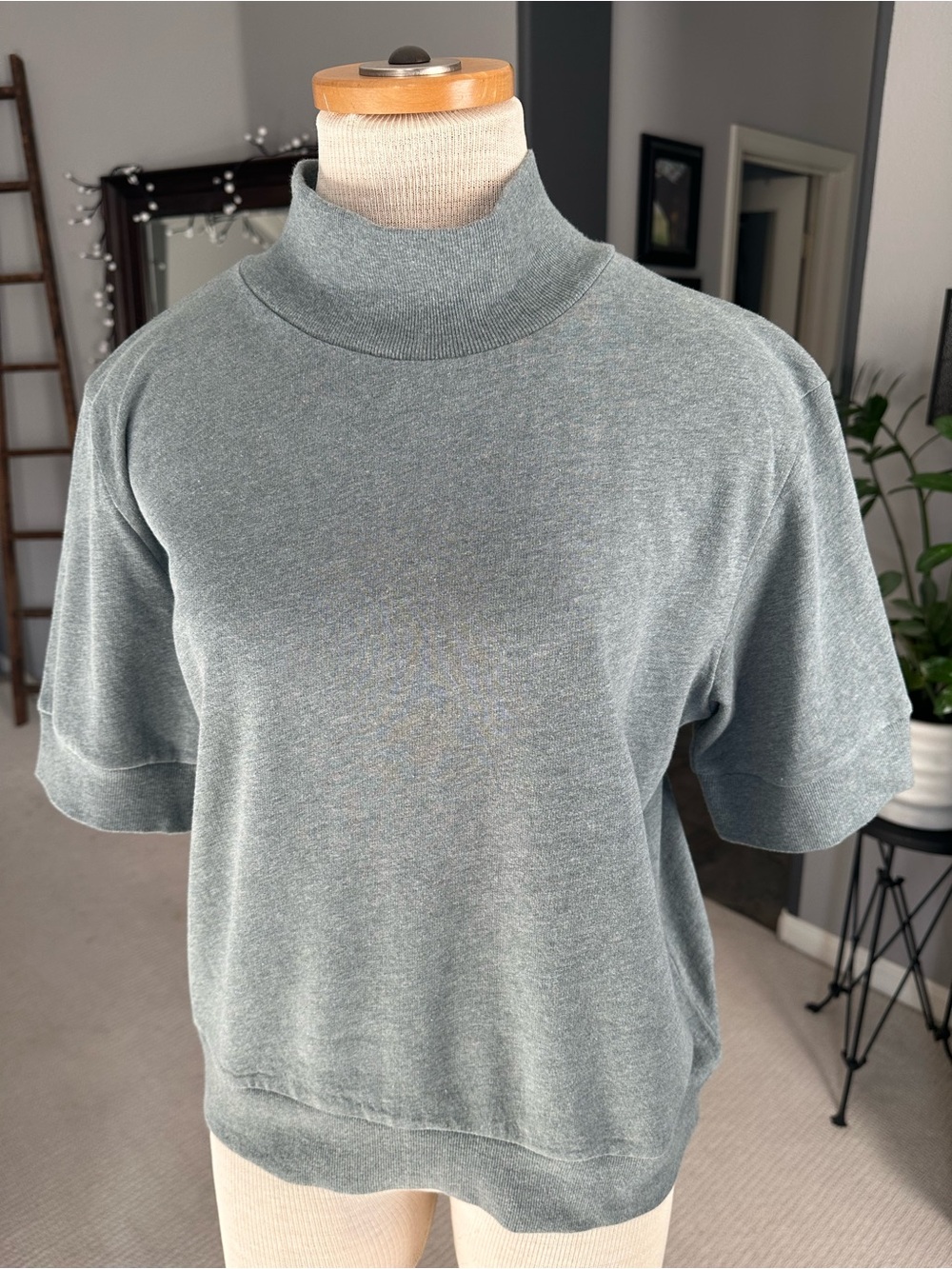 Synergy Organic Clothing Sage Mock Neck Short Sleeve Sweatshirt, size large
